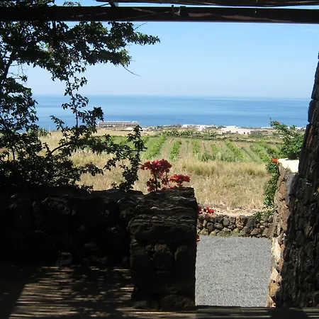 Zibibbodoro * Scauri (Sicily)