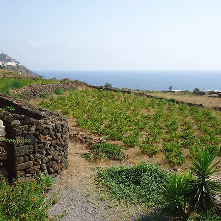 Zibibbodoro * Scauri (Sicily)
