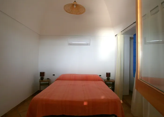 农家乐 Zibibbodoro *