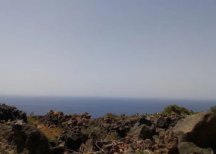 农家乐 Zibibbodoro