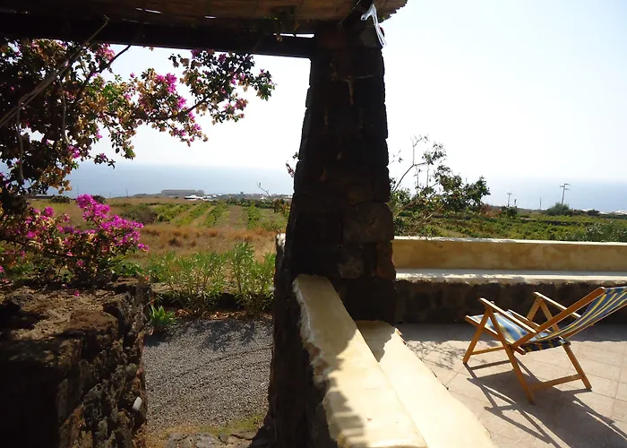 Zibibbodoro 农家乐 *