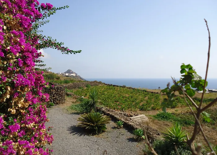 农家乐 Zibibbodoro Scauri (Sicily)