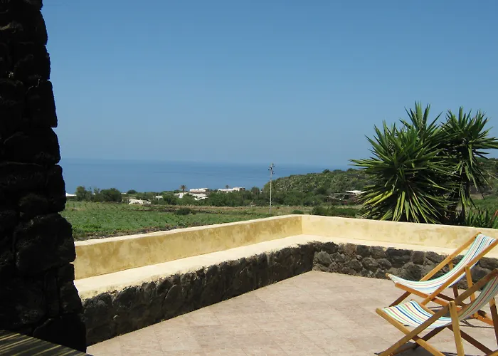 农家乐 Zibibbodoro *