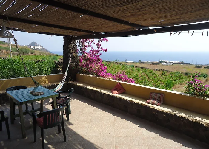 农家乐 Zibibbodoro