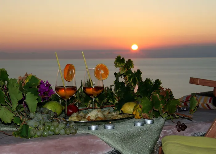 农家乐 Zibibbodoro *