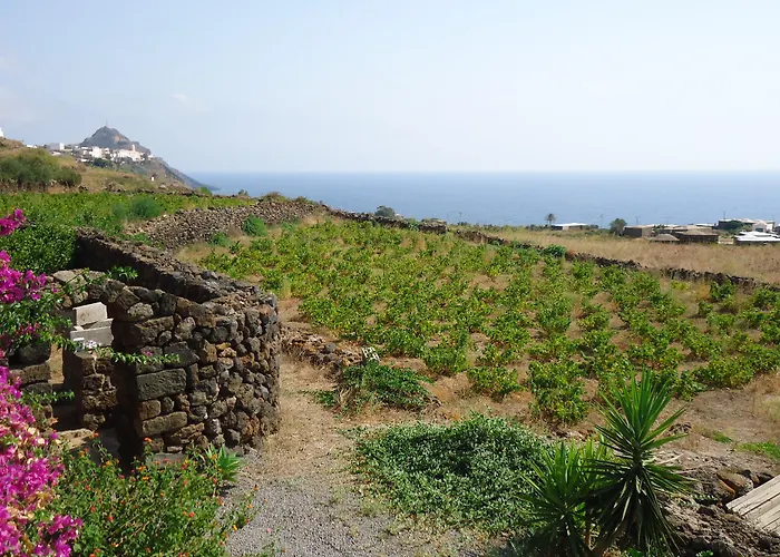 Zibibbodoro * Scauri (Sicily)